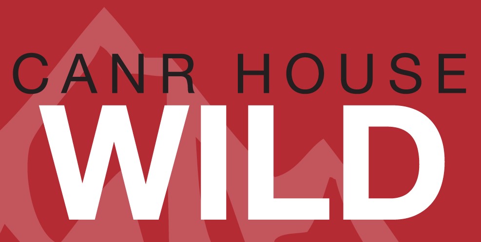 HOUSE BANNER_WILD-crop